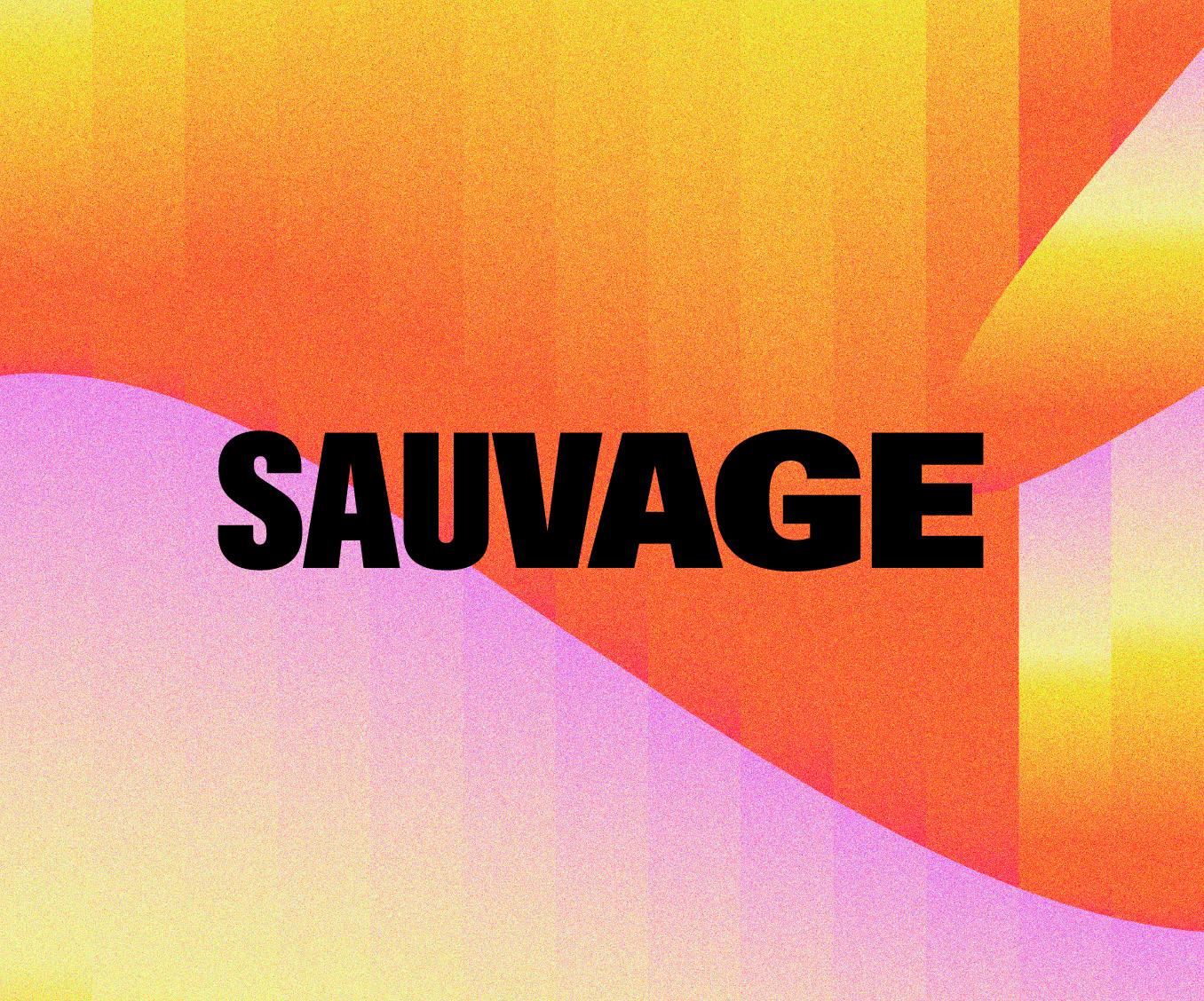 Concerts Sauvage
